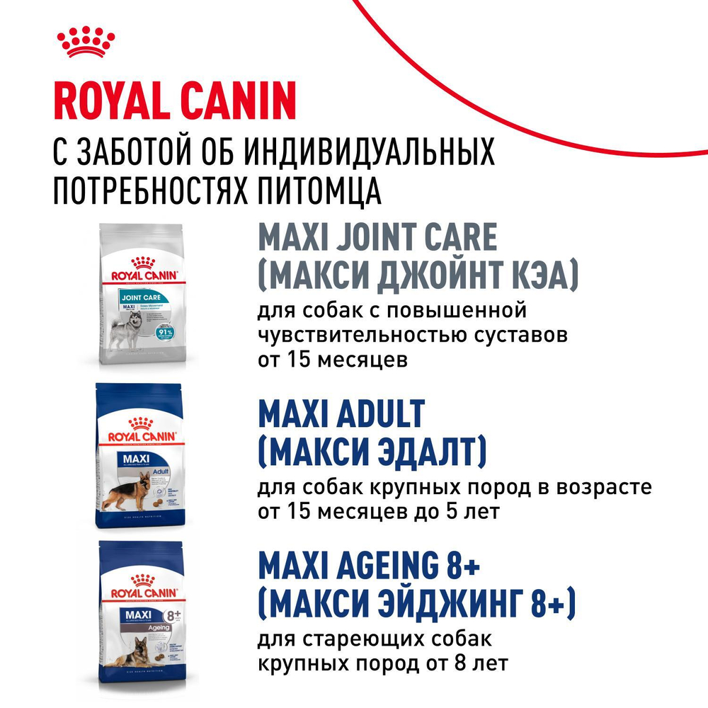 Royal Canin Maxi Adult 5+ Макси Эдалт Корм сухой для взрослых собак крупных пород старше 5 лет 15кг