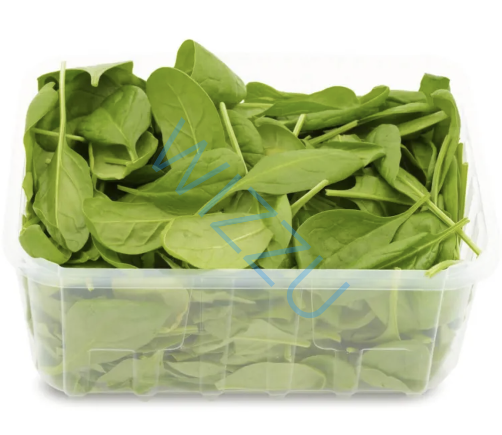 Шпинат в контейнере Fresh salad