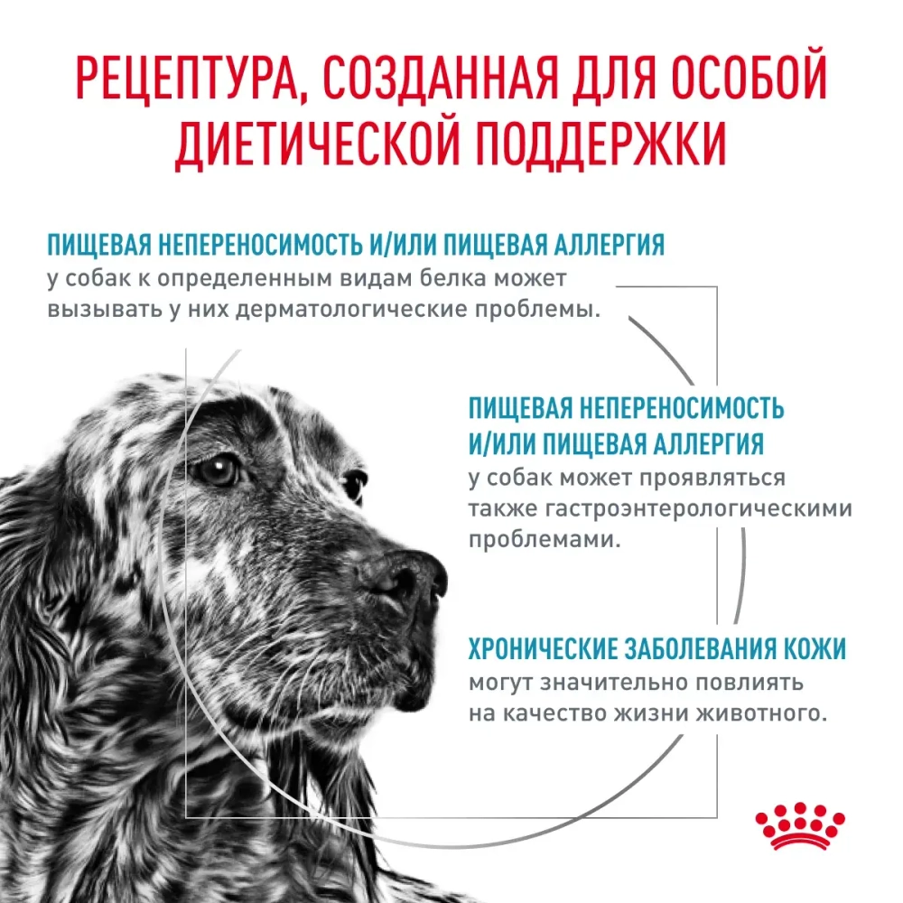 Корм Royal Canin Гипоаллерген Канин ДР 21 д/собак при пищевой аллергии 2кг