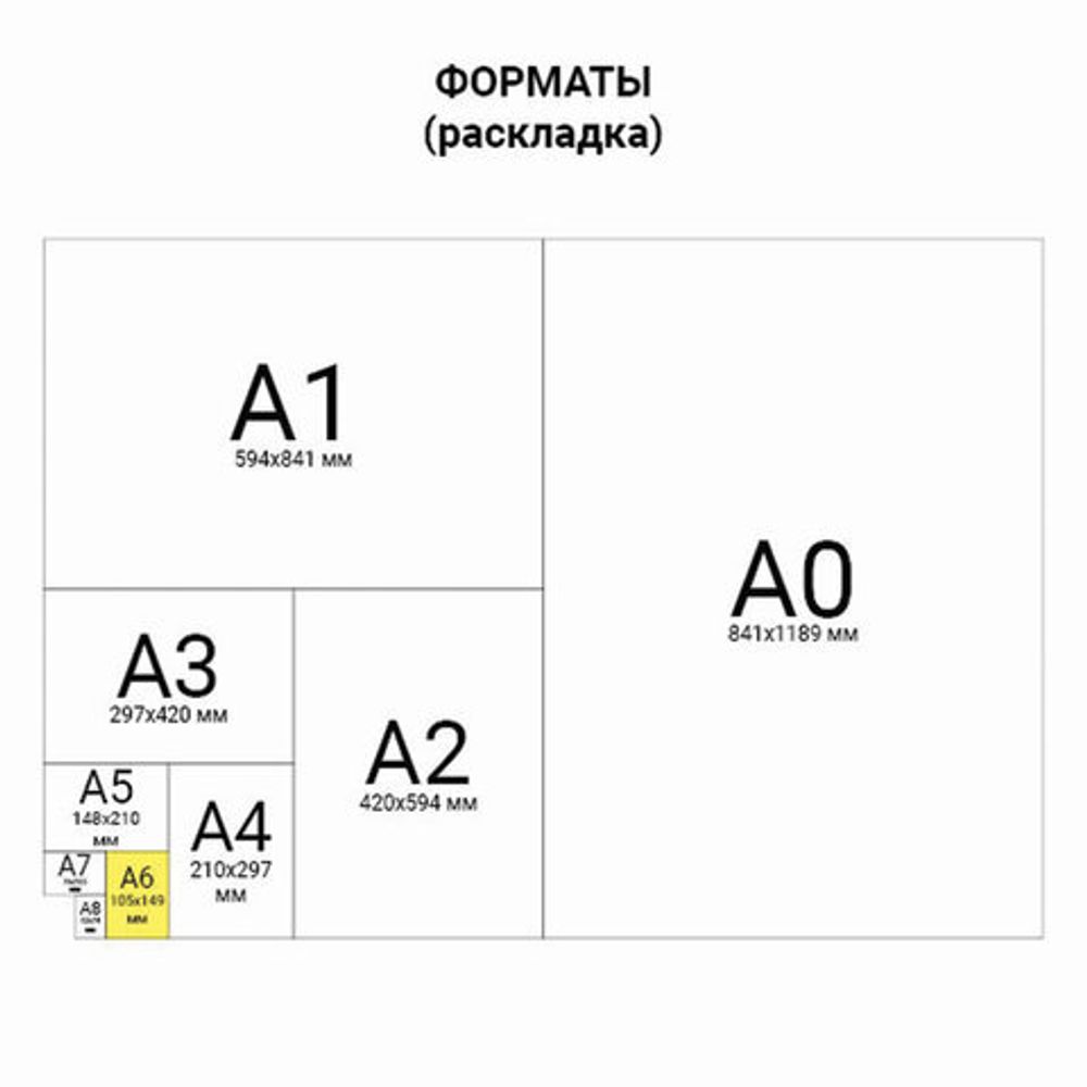 Блокнот МАЛЫЙ ФОРМАТ (103х148 мм) А6, 32 л., сшивка, голограмма, клетка, ЮНЛАНДИЯ, Тукан, 662702