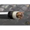 Nostalgia Audio Pendragon Black Gold