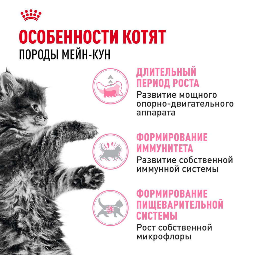 Royal Canin Maine Coon Kitten Киттен Мейн Кун Корм сухой для котят породы Мэйн Кун в возрасте от 4 до 15 месяцев 10кг