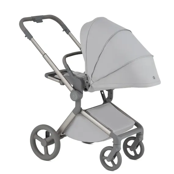 Коляска ANEX Flo 3 в 1 Frossy