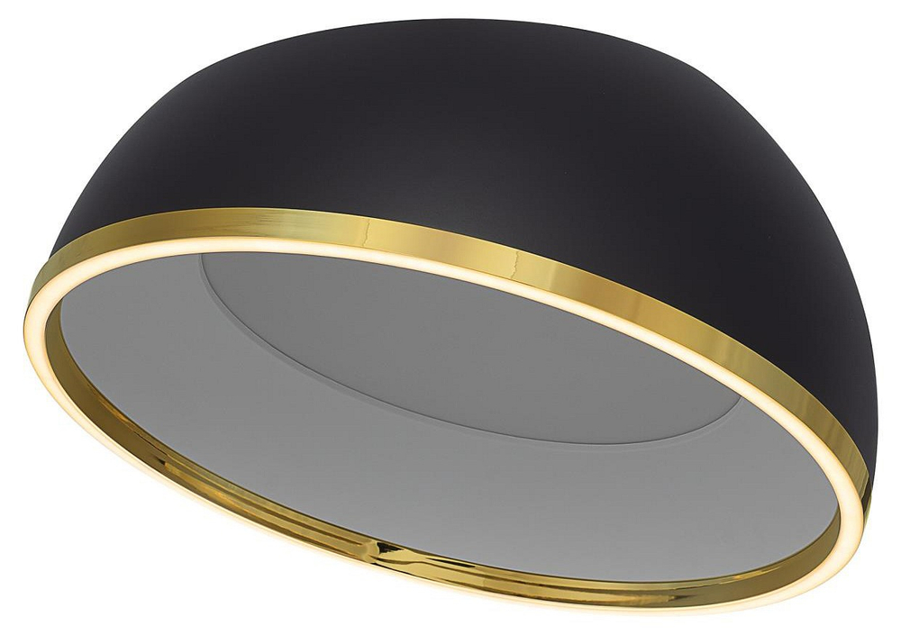 Накладной светильник Citilux FLOOM CL736151