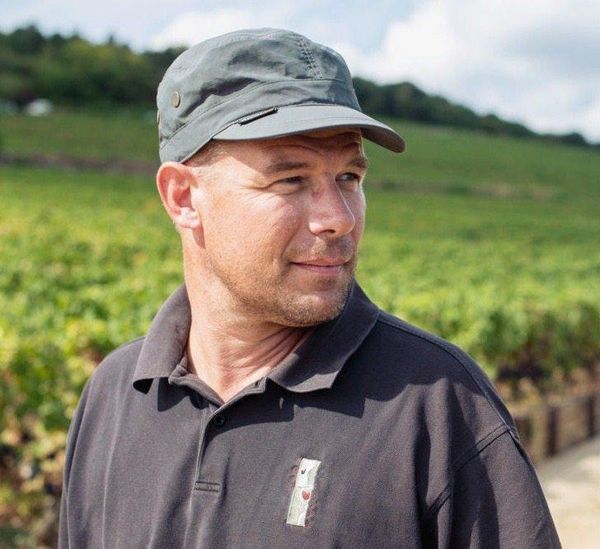 Пино нуары от Domaine Lignier-Michelot Пино нуары от Domaine Lignier-Michelot