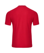 Поло DIVISION PerFormDRY Polo, красный