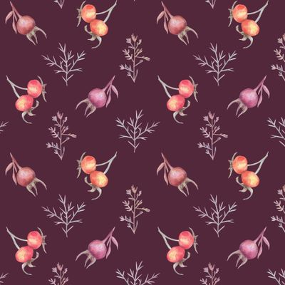 Шиповник и травы на бордовом / Rosehips and herbs on vinous