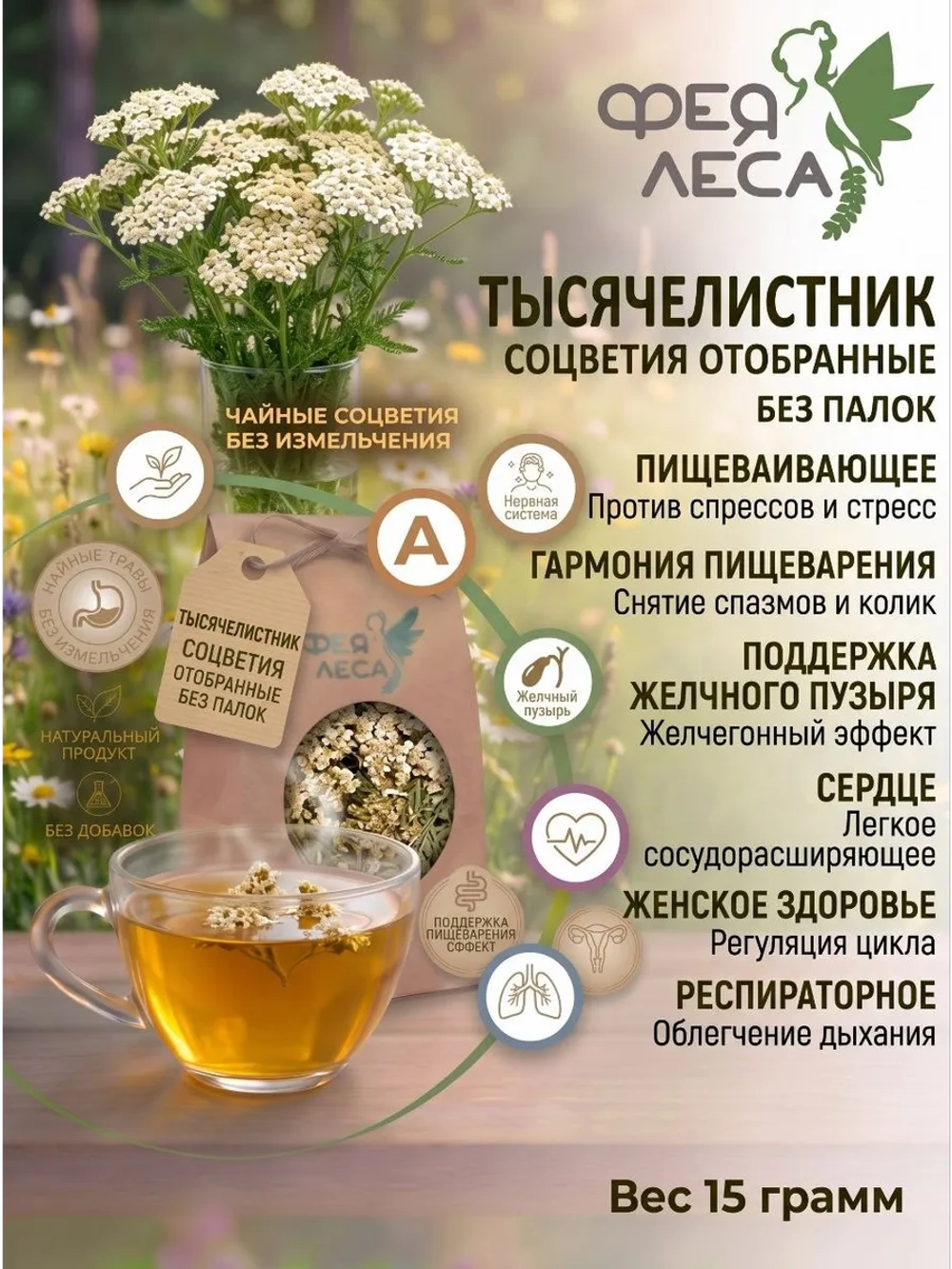 Тысячелистник для здоровья, магии и творчества