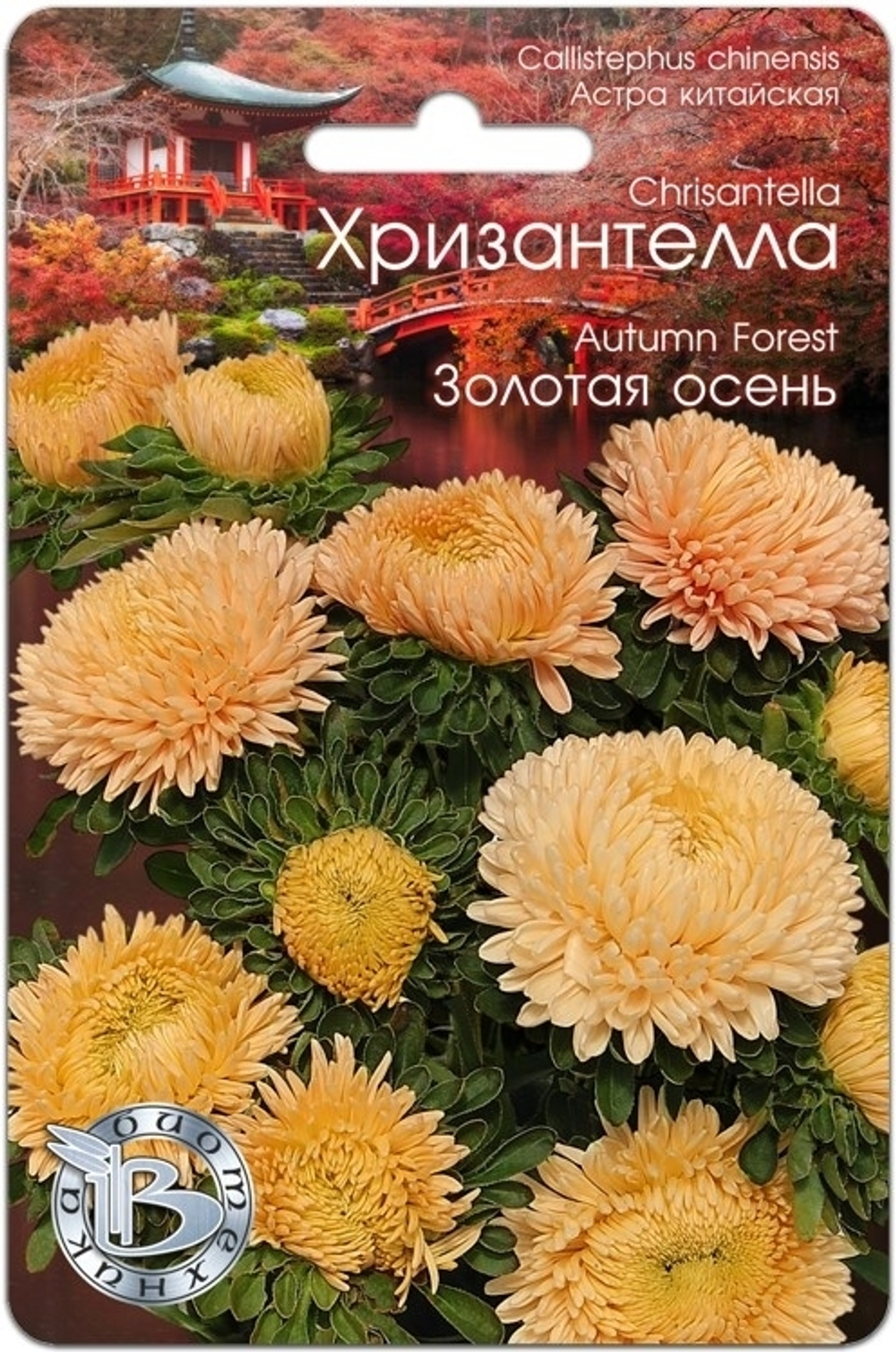 Хризантелла Золотая осень