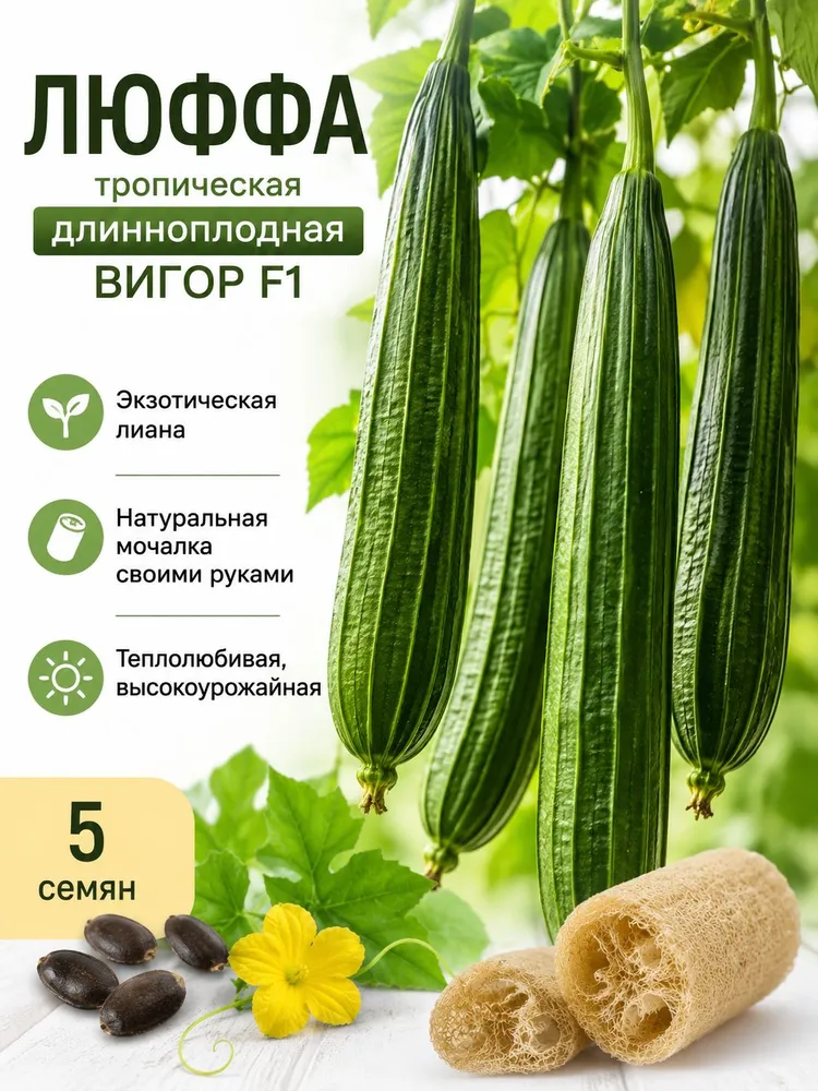 Люффа тропическая длинноплодная Вигор F1 семена 5 штук
