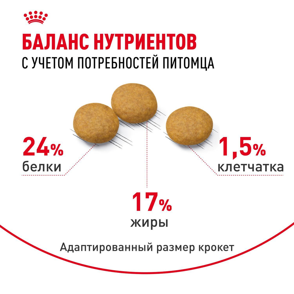 Royal Canin Medium Dermacomfort Медиум Дермакомфорт Корм сухой для взрослых собак средних размеров 10кг