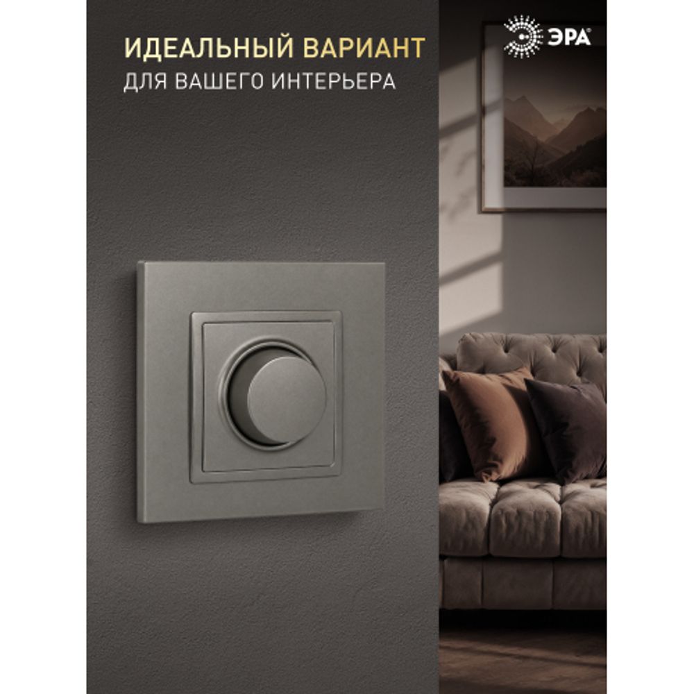 Рамка для розеток и выключателей ЭРА Elegance 14-5011-16 Classic, на 1 пост, титан | Эра Elegance