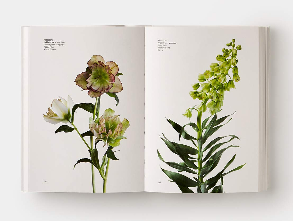 Flower colour guide