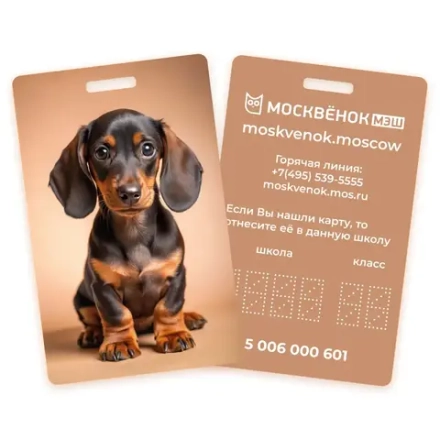 Карта Москвёнок DOGS №7 (проход + питание)