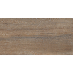 AMAZON WOOD NATURAL 60x120 MATT