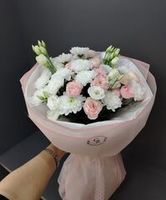 Новинки