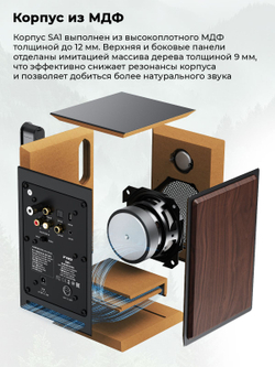 Колонки компьютерные Bluetooth FIIO SA1 (F3053S) Twilight Black