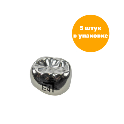 Второй нижний правый моляр, размер 4 (E-LR-4)