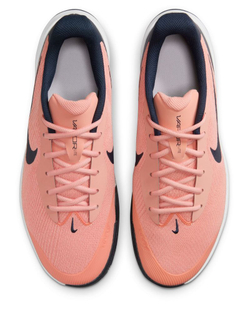 Мужские кроссовки теннисные Nike Vapor Lite 3 Clay - разноцветный