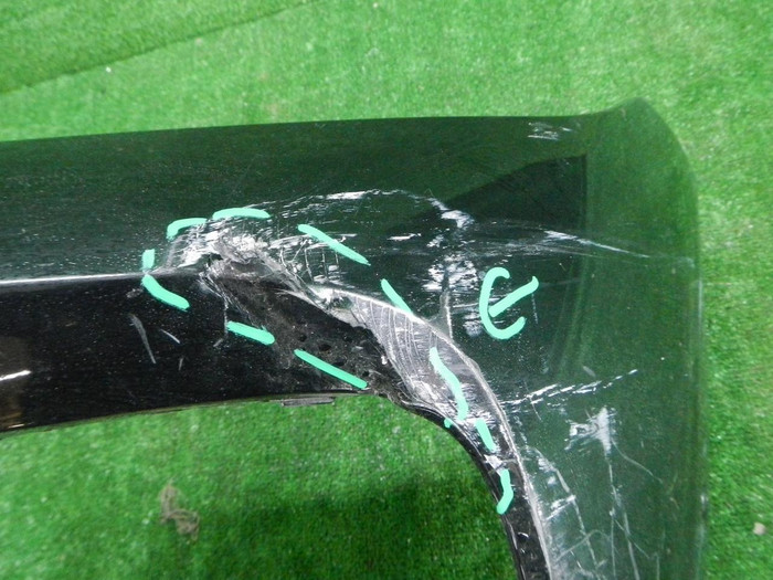 DSCN9533.JPG