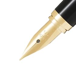 Перьевая ручка PILOT Cavalier с пером F (FCAN-5SR-BR-F) 3