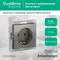 Розетка с заземлением без шторок Systeme Electric AtlasDesign Сталь ATN000943
