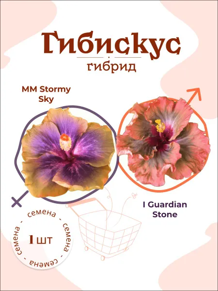 Гибискус MM Stormy Sky х I Guardian Stone — семена, 1 шт.