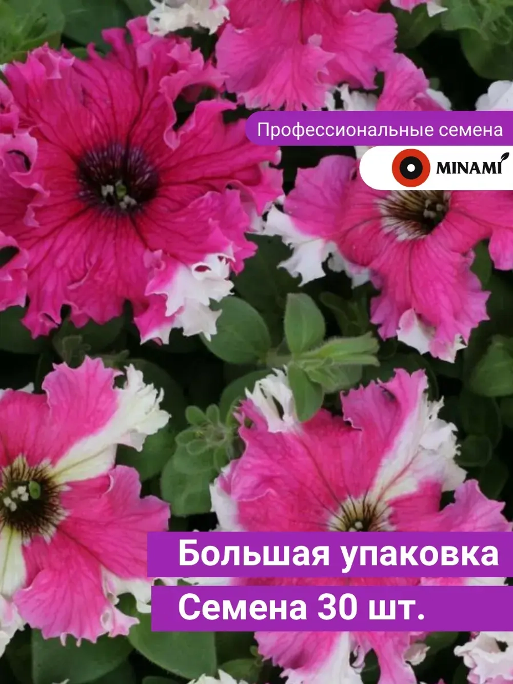 Петуния Каркулка белая F1 с фиолетовыми пятнами