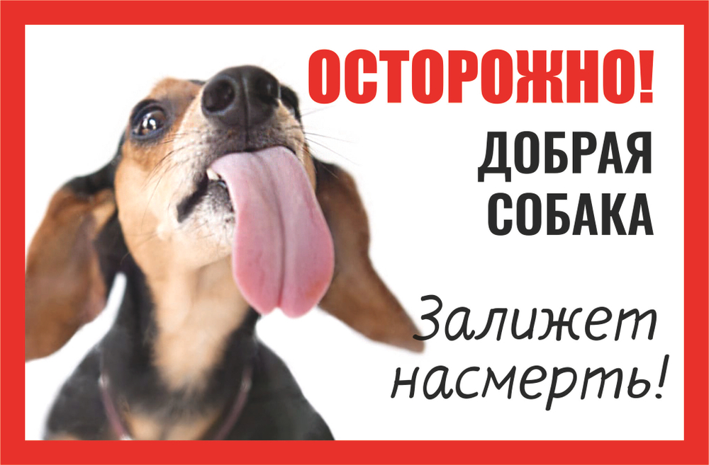 Табличка "Осторожно быстрая собака"