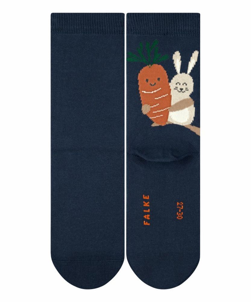 Носки Carrot FALKE 12975/6115