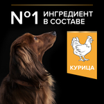 Сухой корм PRO PLAN EVERYDAY NUTRITION для взрослых собак мелких и карликовых пород курица 3 кг