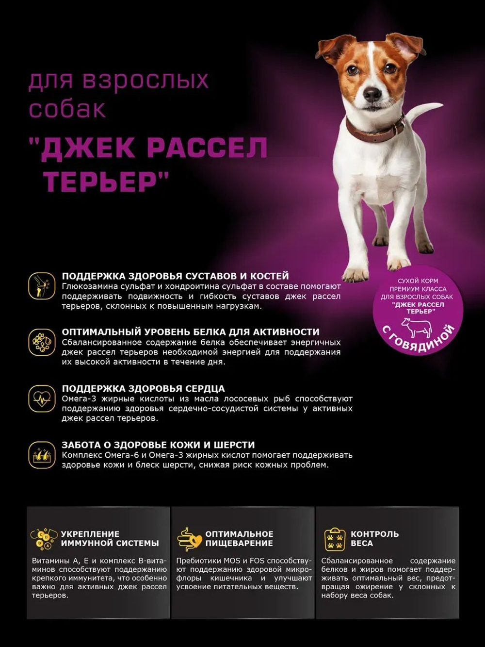 Корм сухой для взрослых собак породы Джек Рассел Терьер, с говядиной, 12 кг, QUATTRO