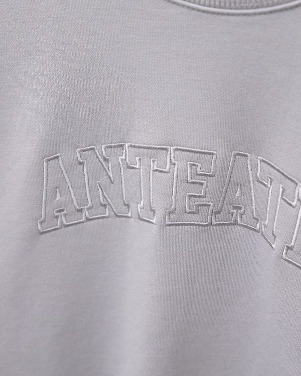 Толстовка Crewneck BigText серая - фото 7