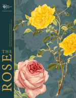 The Rose: The History of the World's Favourite Flower Told Through 40 Extraordinary Roses
