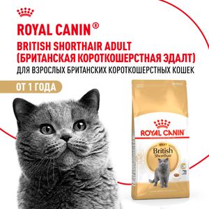 Сухой корм Royal Canin British Shorthair Adult для взрослых британских короткошерстных кошек