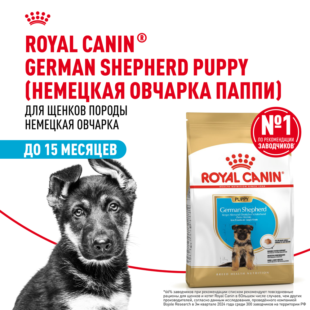 Royal Canin German Shepherd Puppy Немецкая овчарка Паппи Корм сухой для щенков породы Немецкая овчарка до 15 месяцев 3кг