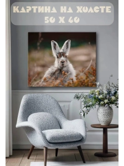 Картина на стену 40 X 50 Заяц