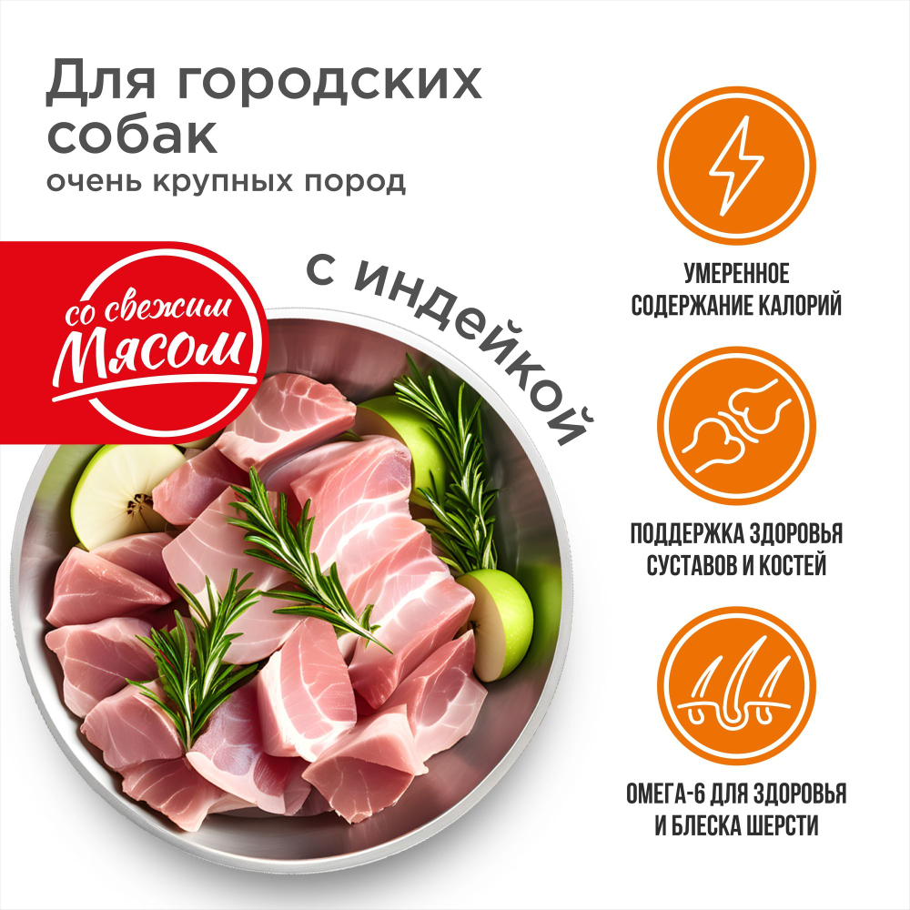 Корм сухой для взрослых собак очень крупных пород, премиум полнорационный комплекс, для городских собак, с индейкой, 12 кг, QUATTRO
