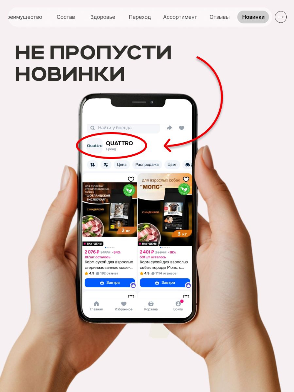 Корм сухой для котят породы Невская маскарадная, с лососем, 2 кг, QUATTRO