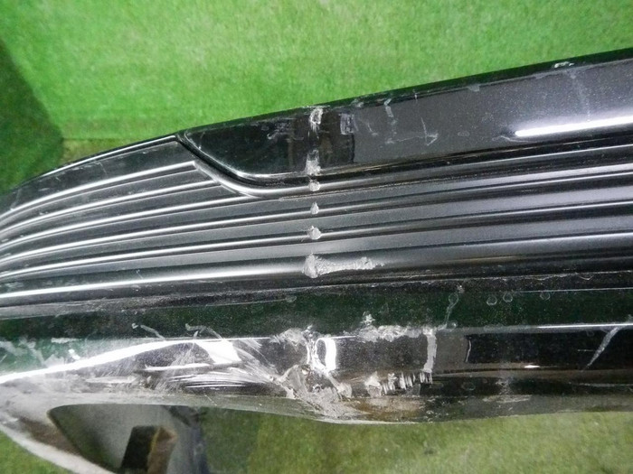 DSCN8870.jpg