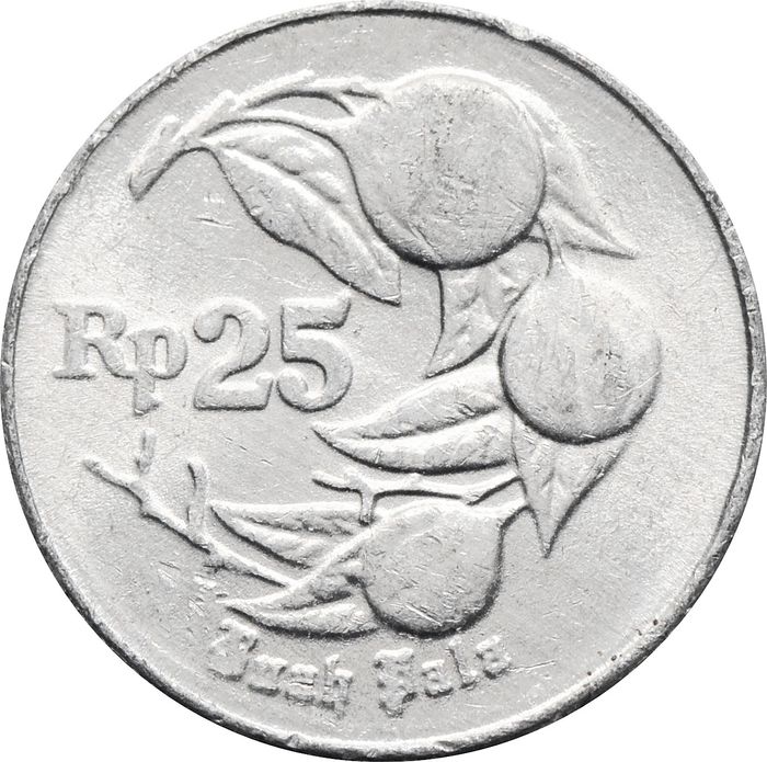 25 рупий 1991-1996 Индонезия
