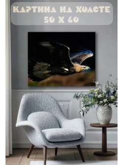 Картина на стену 40 X 50 Беркут