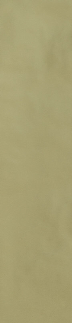 Керамогранит 786011 Sensi Colore Salvia Glossy 5,7x23,2