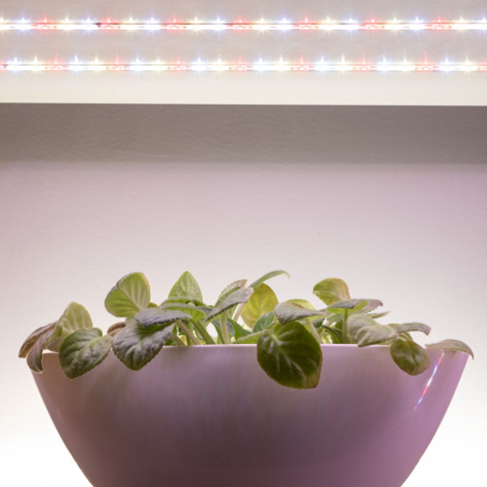 Светодиодная лента для растений ЭРА FITO-Strip Light-Rа90-3m полного спектра 3м IP65 с адаптером 12V | Светодиодные ленты для растений