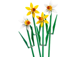 Конструктор LEGO Botanical Collection 40747 Нарциссы