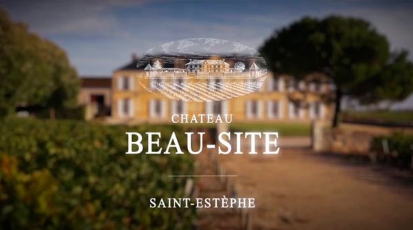 Вино недели с 12 июня - Chateau Beau-Site Вино недели с 12 июня - Chateau Beau-Site