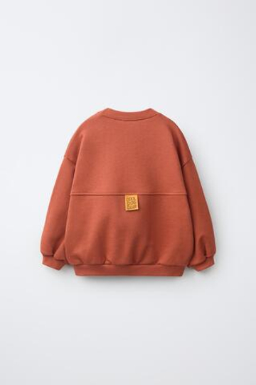 ZARA ТОЛСТОВКА С ПРИНТОМ «СОБАКА», МЕДНЫЙ