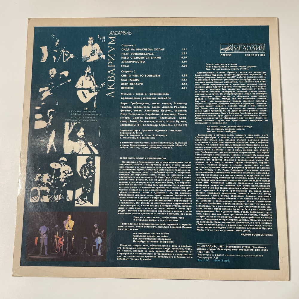 Винтажная виниловая пластинка LP Ансамбль Аквариум (СССР 1987)