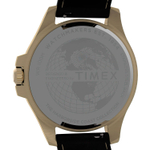 Мужские наручные часы Timex TW2V42200