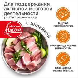 Корм сухой для взрослых собак средних пород, премиум полнорационный комплекс, забота о памяти и мозговой активности, с индейкой, 12 кг, QUATTRO